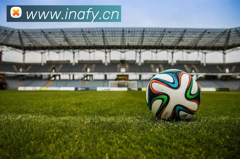 九游app网页版平台生态图